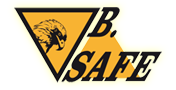 B.Safe Security - Israel